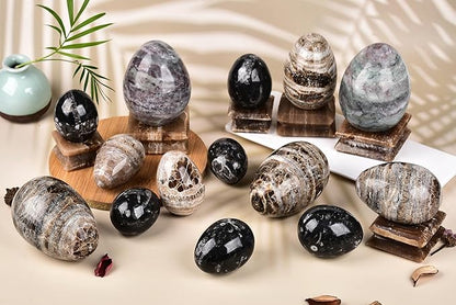 AMOYSTONE Single Healing Crystal Rock Egg Orthoceras Stone Large with Base, Home Decor Collect, Height 3.5-4"
