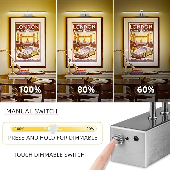FUNCHDAY Picture Light,Battery Art Lights for Wall,Wireless Remote Painting Light with Timer and Dimmable,16”Metal Display Lighting for Artwork,Portrait,Gallery (Brushed Black)
