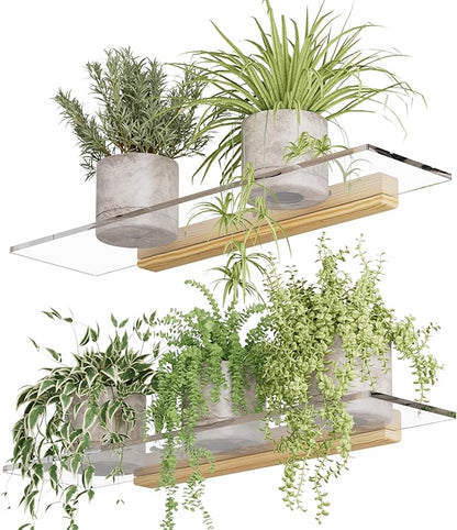 QsQueen Acrylic Floating Shelves with Solid Wood Base, Wall Mounted Shelf for Plants, Perfume, Nail Polish, Bathroom, Bedroom & Living Room Décor
