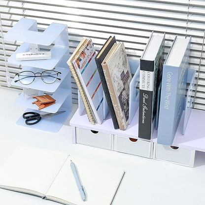 BAYTORY 2Pcs Acrylic File Holder Purse Organizer, Sturdy Desktop File Sorter Organizer, Binder Shelf for Office Desk Kitchen Shelf Closet (Blue)