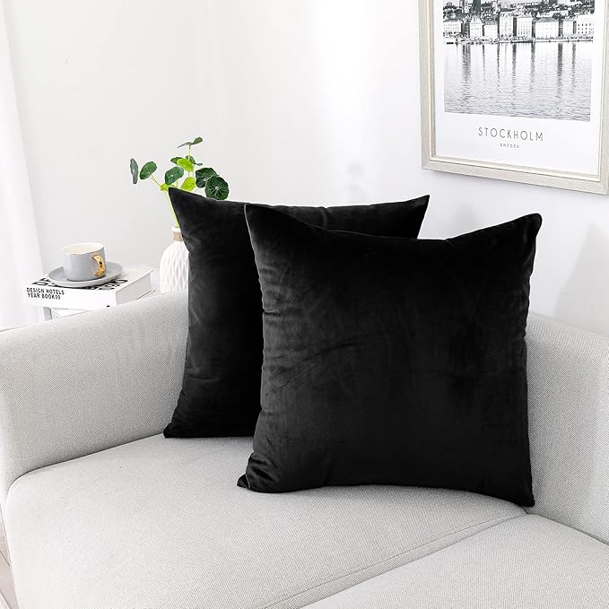 NiNi ALL Decorative Throw Pillow Covers Pack of 2 Velvet Throw Pillow Cases for Couch Sofa Bed Car Office Pillows Cover Bedroom Living Room Outdoor Black Pillow Covers 30x30 Inch