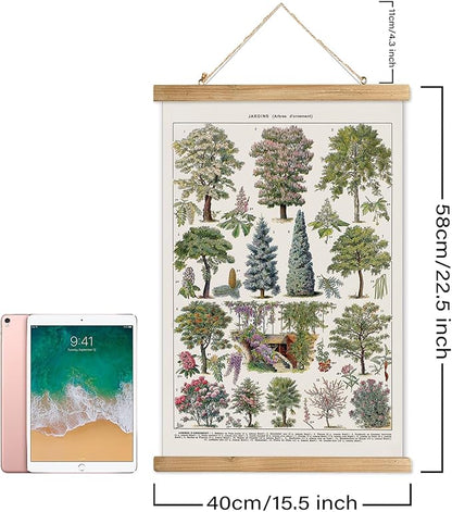 XIAOAIKA Vintage Tree and Shrub Poster - Botanical Educational Retro Wall Art with Wooden Frame for Gardening Enthusiasts and Landscape Designers 16 x 23 Inches