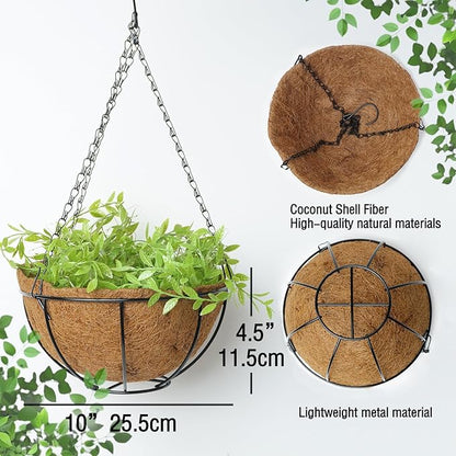 3-Pack Hanging & Wall-Mounted Plant Baskets with Natural Coconut Fiber Liner, Decorative Planters for Home Garden Patio Yard (3Pack FlatHanger, 10Inch)