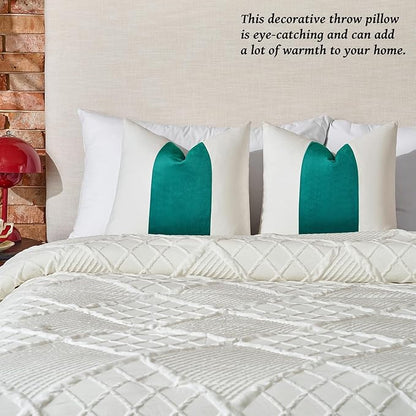 AmHoo Pack of 2 Velvet Panel Cotton Pillow Covers Decorative Pillowcase Cushion for Couch Sofa Bedroom 20 x 20-Inch Teal Green