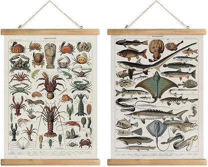 XIAOAIKA Set of 2 Vintage Marine Life and Crustaceans Wall Art Posters - Nautical Ocean Creatures & Seafood Illustration Prints with Wooden Hanger Frames for Home Decor 16 x 23 Inches