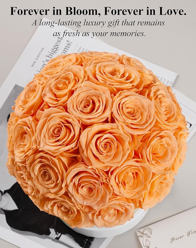 27 Forever Roses Dome in Luxury White Box, Eternal Real Roses Birthday Gifts for Women, Preserved Flowers for Delivery Prime, Anniversary, Valentine's Day, Mothers Day for Mom (Champagne)