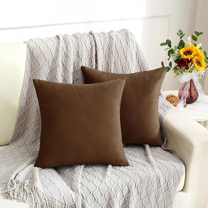 Jeneoo Velvet Throw Pillow Covers 18x18 Inch 2 Pack, Super Soft Thick Decorative Square Cushion Cases for Sofa Couch Bedroom Car, Bear Brown