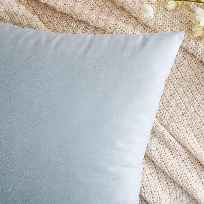 EMEMA Pack of 2 Velvet Pillow Covers Decorative Rectangle Pillowcase Soft Solid Cushion Case for Sofa Bedroom Car 12x20 Inch Baby Blue