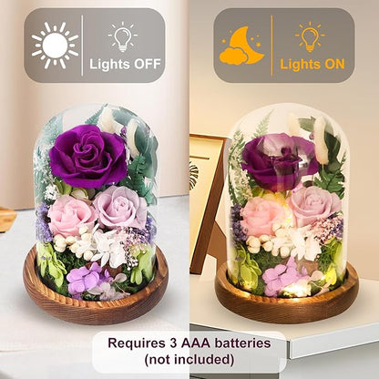 Preserved Flowers in Glass Dome, Forever Flower, Eternal Flowers, Birthday Gifts for Women, Gifts for Mom Girlfriend Her Friendship, Home Decor Living Room Bedroom (Mauve)