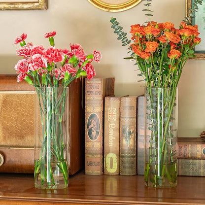 7pcs Glass Cylinder Vases for Centerpieces - 10 Inch Tall Glass Vases for Flower, Clear Flower Vase Bulk Floating Candle Vase for Table Centerpiece Wedding Home Décor