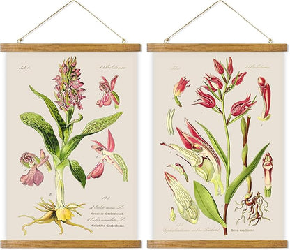 ABoby Vintage Flower Poster, Decorative Botanic Chart Wall Art Prints, Printed on Linen with Wood Frames, Ready to Hang