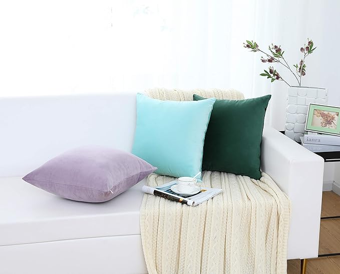 Jeneoo Comfy Soft Thick Velvet Lumbar Throw Pillow Covers Decorative Solid Rectangle Couch Cushion Cases for Bedroom Sofa Decor (Turquoise, 12 x 20 Inches, 2 Pieces)
