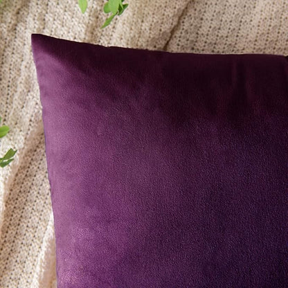 EMEMA Pack of 2 Velvet Throw Pillow Covers Decorative Square Pillowcase Soft Solid Cushion Case for Sofa Bedroom Chair Car 20x20 Inch Eggplant Purple