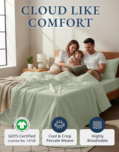 LANE LINEN 100% Organic Cotton King Bed Sheet Set, Bedsheets 4Pc Soft Cooling Fully Elasticized Mercerised All Season Sustainably Produced Cotton Sheets King Size, Oeko Tex Sheets - Mineral