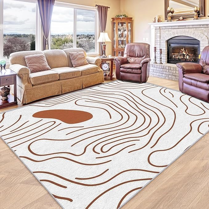 Abstract Rugs for Living Room - Abstract Swirl Area Rug, 3x5 Rug, Minimalist Boho Rug & Home Decor, Line Art Carpet & Room Decor, Washable Non Slip Anti Skid Rugs