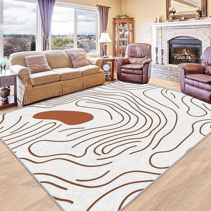 Abstract Rugs for Living Room - Abstract Swirl Area Rug, 3x5 Rug, Minimalist Boho Rug & Home Decor, Line Art Carpet & Room Decor, Washable Non Slip Anti Skid Rugs