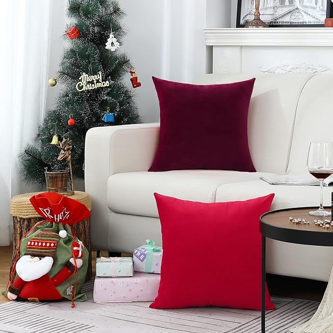 Jeneoo Set of 1 Comfy Accent Soft Velvet Throw Pillow Covers for Sofa Couch, Invisible Zipper Decorative Solid Square Cushion Cases for Livingroom Car (24 x 24 Inches, Burgundy Red)