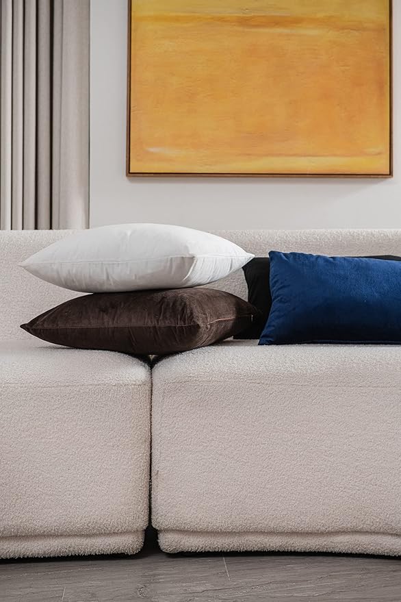 Decorative Pillow Cases 18x18 White: 2 Pack Cozy Soft Velvet Square Throw Pillow Covers for Farmhouse Home Decor