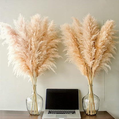 46" inch 20 Stems Natural Pampas Grass Decor Tall, Pompas Grass, Tall Pampas Grass for Weddingm, Farmhouse, Boho Home Decor (Beige)
