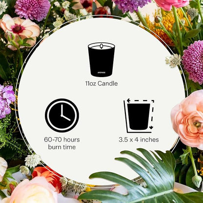 Apotheke Signature Scented Candles for Home, Charcoal - 10.5 oz - Soy Wax, Non Toxic, Large Jar Black - Luxury Candle Gifts for Women & Men - Cedarwood, Sandalwood, Oud, and Amber
