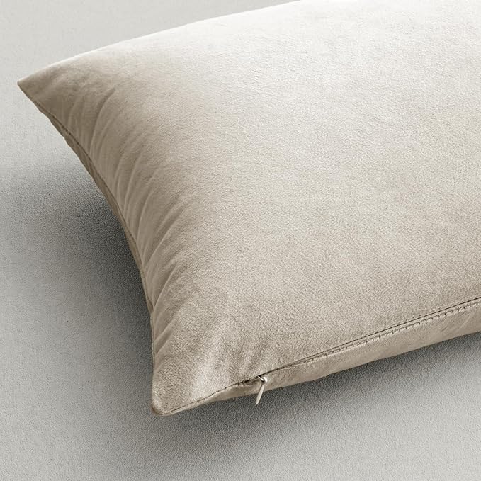 MIULEE 24x24 Inch Euro Sham Velvet Pillow Covers, Set of 2 Large Square Decorative Pillows -Cream White Super Soft for King Bed, Sofa, Couch, Accent Chairs with Hidden Zipper