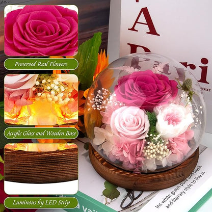 Pink Rose Birthday Gifts for Women Forever Flowers for Delivery Real Rose in Glass Dome with LED Strip, Preserved Flowers Gifts for Wife Girlfriend Mom on Wedding Anniversary