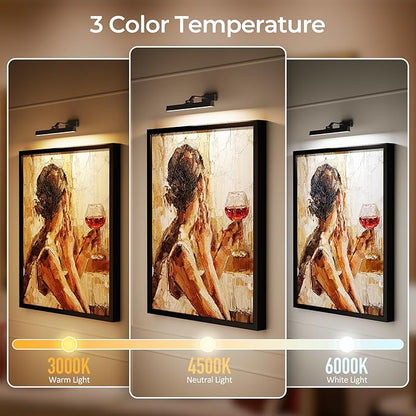 Picture Lights for Wall, Battery Operated Gallery Light 16in for Paintings CCT Dimmable Recharging Battery Wall Lamp with Remote Control for Living Room Dartboard Art Bathroom 2PCS