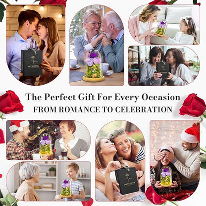Forever Flowers Preserved Roses Prime Delivery For Women, Glass Dome Light Up Preserved Flowers , Christmas Anniversary Thanksgiving Gifts For Wife Girlfriend Women Best Friend Grandma(Purple)