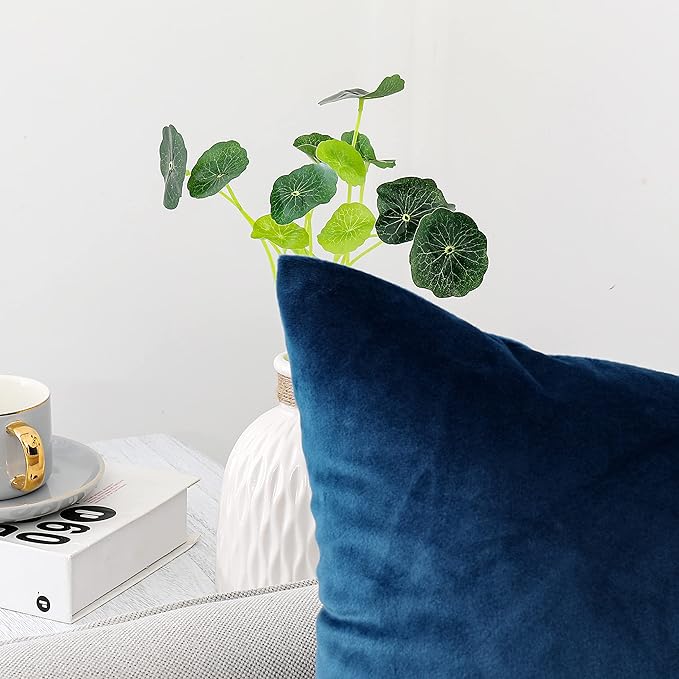 NiNi ALL Decorative Throw Pillow Covers Velvet 20x20 Inch Pack of 2 Blue Cushion Covers Soft for Couch Sofa Bedroom Living Room Outdoor