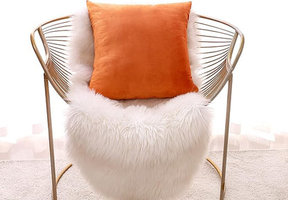 NiNi ALL Decorative Throw Pillow Covers Pack of 2, Halloween Velvet Cushion Case for Couch Bedroom Living Room Outdoor, Pillow Covers 18x18 Inch（45 x 45 cm） Orange