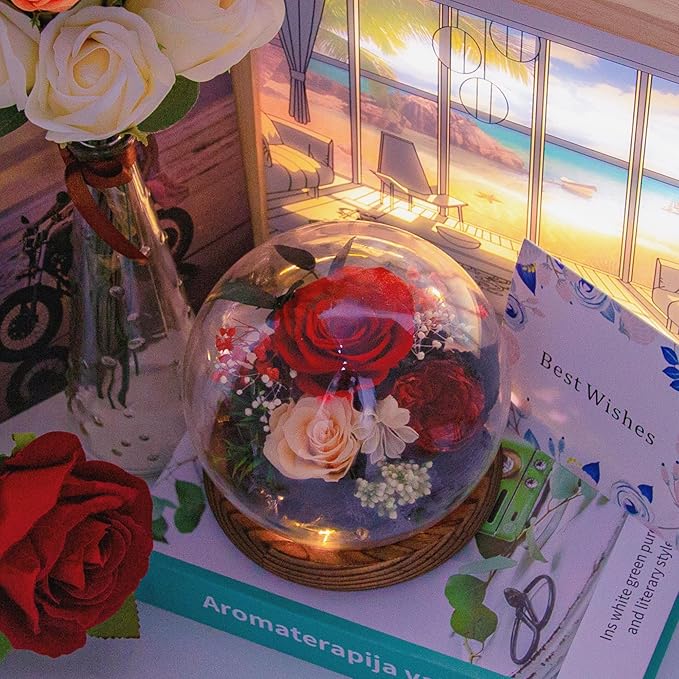 Birthday Gifts for Women Preserved Red Real Rose Flowers in Glass Dome, Forever Rose Valentines Day Gift for Her Mom on Christmas Birthday Flowers for Delivery Prime