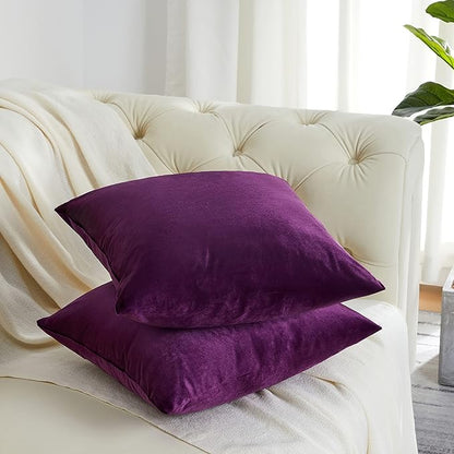 GIGIZAZA Purple Decorative Velvet Decorative 20x20 Throw Pillow Covers for Sofa Bed 2 Pack Soft Cushion Cover