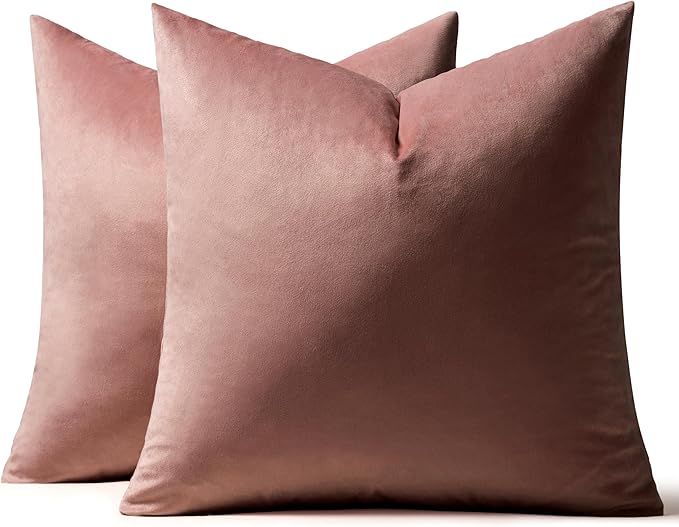 MIULEE Velvet Throw Pillow Covers 22x22 Inch, Pack of 2 - Jam, Soft Solid Decorative Pillow Covers Cushion Cases Modern Luxury Home Decor for Spring Couch Sofa Bedroom Livingroom
