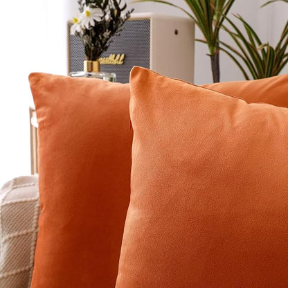 NiNi ALL Decorative Throw Pillow Covers Velvet 16x16 Inch Pack of 2 Orange Cushion Covers Soft for Couch Sofa Bedroom Living Room Outdoor