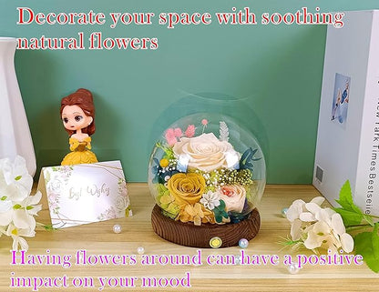 Valley of Rain & Forest Long-Lasting Real Flowers, Unique Floral Gift for You to Send Love for All Occasions, for Indoor Decoration (Champagne & Yellow Roses Arrangement)