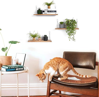 MITIME Floating Shelves Set of 3 Rustic Solid Wood Floating Shelf Wall Storage Shelves for Living Room, Bedroom, Bathroom, Kitchen Laundry, Office,no Drill Shelf(Light Color L+L+L)