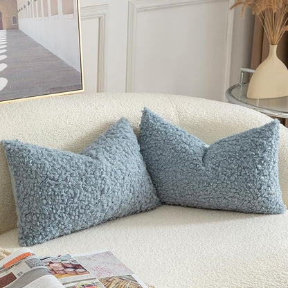 Yaertun Pack of 2 Faux Fur Throw Pillow Covers Decorative Sherpa Boucle Pillow Covers Fuzzy Soft Pillowcases Sheepskin Fleece Cushion Case for Couch Sofa Bed Living Room 12x20 Inch Light Blue