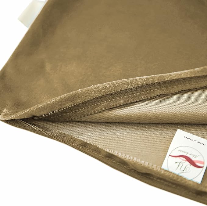 FY FIBER HOUSE Pack of 2 Velvet Throw Pillow Covers Decorative Square Pillowcase Soft Solid Cushion Case for Sofa/Couch Use, 18 x 18 Inch Coffee