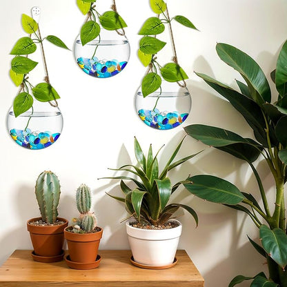 6 Pcs Wall Hanging Planter Glass Plant Pot Water Terrarium Containers Wall Vases for Flowers Air Hydroponic Propagation Glass Plant Holder Home Room Window Office(Round)