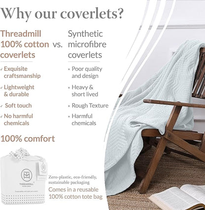 Threadmill Luxury Cotton Blankets for Queen Size Bed | All-Season 100% Cotton Queen Size Blanket | Aster Jacquard Cozy Lightweight, Soft Breathable Coverlet fits Full Size Bed, 90x92 | Light Blue