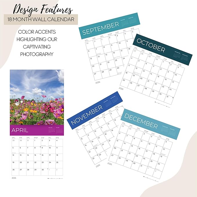 Wild Flowers Wall Calendar 2026 | 12" x 24" Open | Giftable Floral Garden Calendar 2026 | Thick & Sturdy Paper for Organizing & Planning | Pacific Waters Press (Wild Flowers)