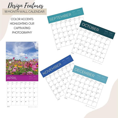 Wild Flowers Wall Calendar 2026 | 12" x 24" Open | Giftable Floral Garden Calendar 2026 | Thick & Sturdy Paper for Organizing & Planning | Pacific Waters Press (Wild Flowers)
