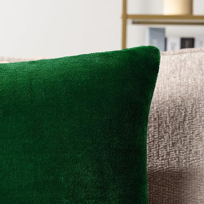PAVILIA Emerald Green Throw Pillow Covers 20x20 Set of 2, Decorative Pillow Cases for Bed Sofa Couch, Boho Aesthetic Accent Decor Cushion Bedroom Living Room, Velvet Square Euro Sham Cover, Dark Green