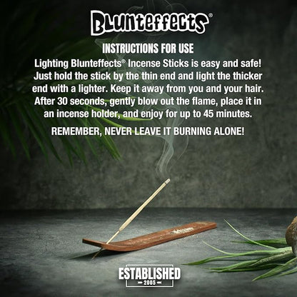Blunteffects Hand-Dipped Incense Sticks - Premium 144-Pack Variety Set, 12 Different Scents, 11" Long, USA-Made Aromatherapy with Long Burn Time (12 Pack, 144 Total Sticks)