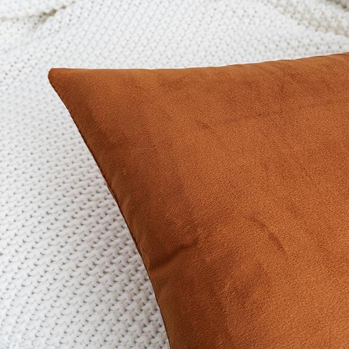 HWY 50 Burnt Orange Velvet Throw Pillow Covers 22x22 Inch, Pack of 2 Soft Cozy Solid Decorative Luxury Fall Cushion Cases for Couch Sofa Bed Living Room Bedroom