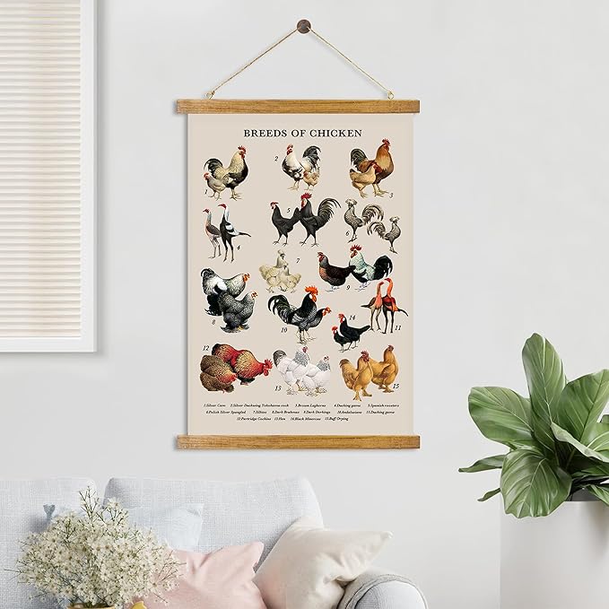 ABoby Vintage Illustrated Chicken Breeds Posters - Farmhouse Wall Art - Retro Style Wall Decor Painting with Wood Frames - Ready to Hang