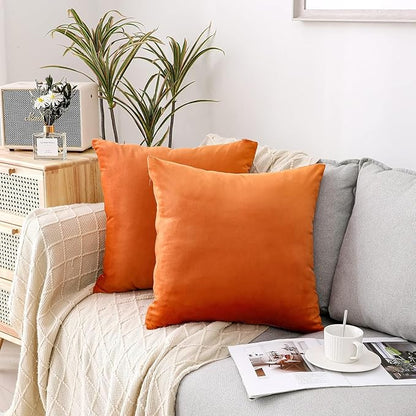 NiNi ALL Decorative Throw Pillow Covers Velvet 16x16 Inch Pack of 2 Orange Cushion Covers Soft for Couch Sofa Bedroom Living Room Outdoor