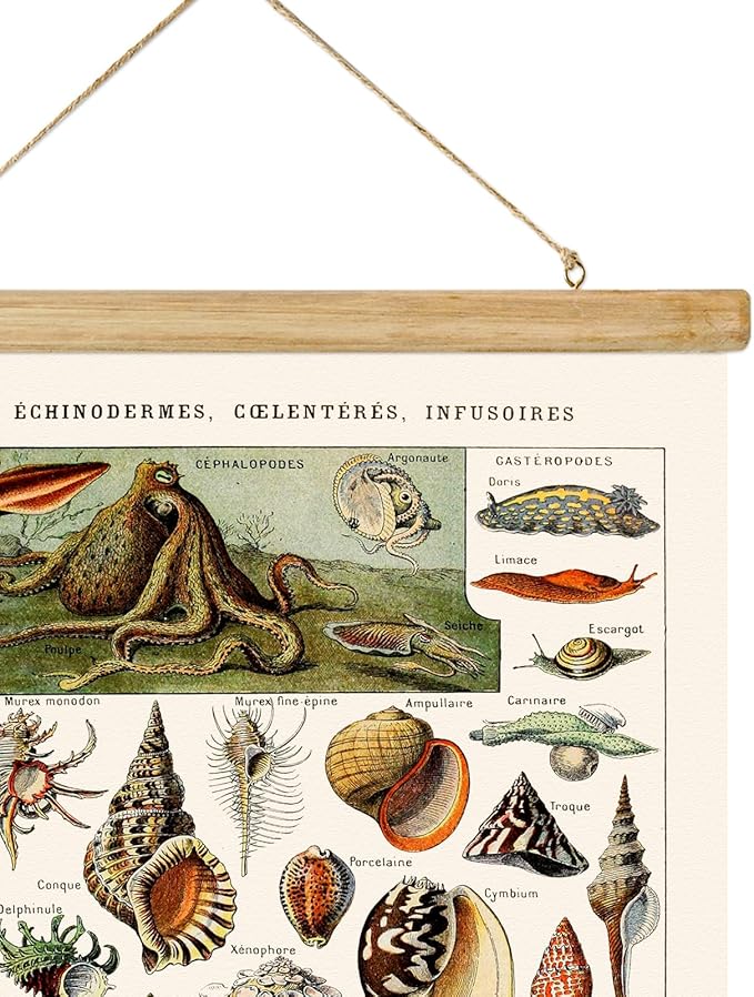 ABoby Vintage Hanging Posters, Decorative Shellfish Wall Art Prints, Printed on Linen with Wood Frames, Ready to Hang