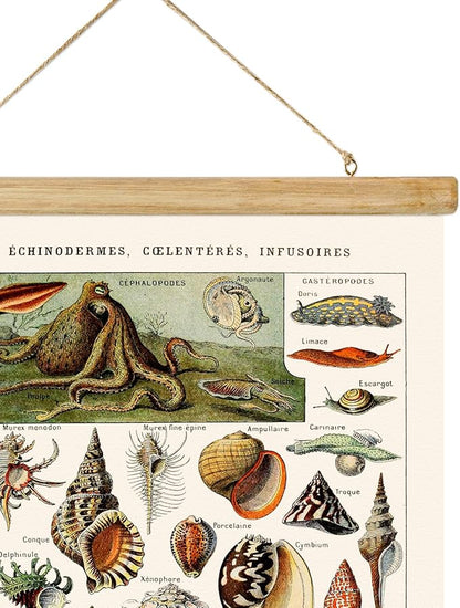 ABoby Vintage Hanging Posters, Decorative Shellfish Wall Art Prints, Printed on Linen with Wood Frames, Ready to Hang