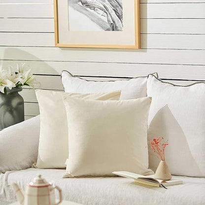 FY FIBER HOUSE Pack of 2 Velvet Throw Pillow Covers Decorative Square Pillowcase Soft Solid Cushion Case for Sofa/Couch Use, 20 x 20 Inch White